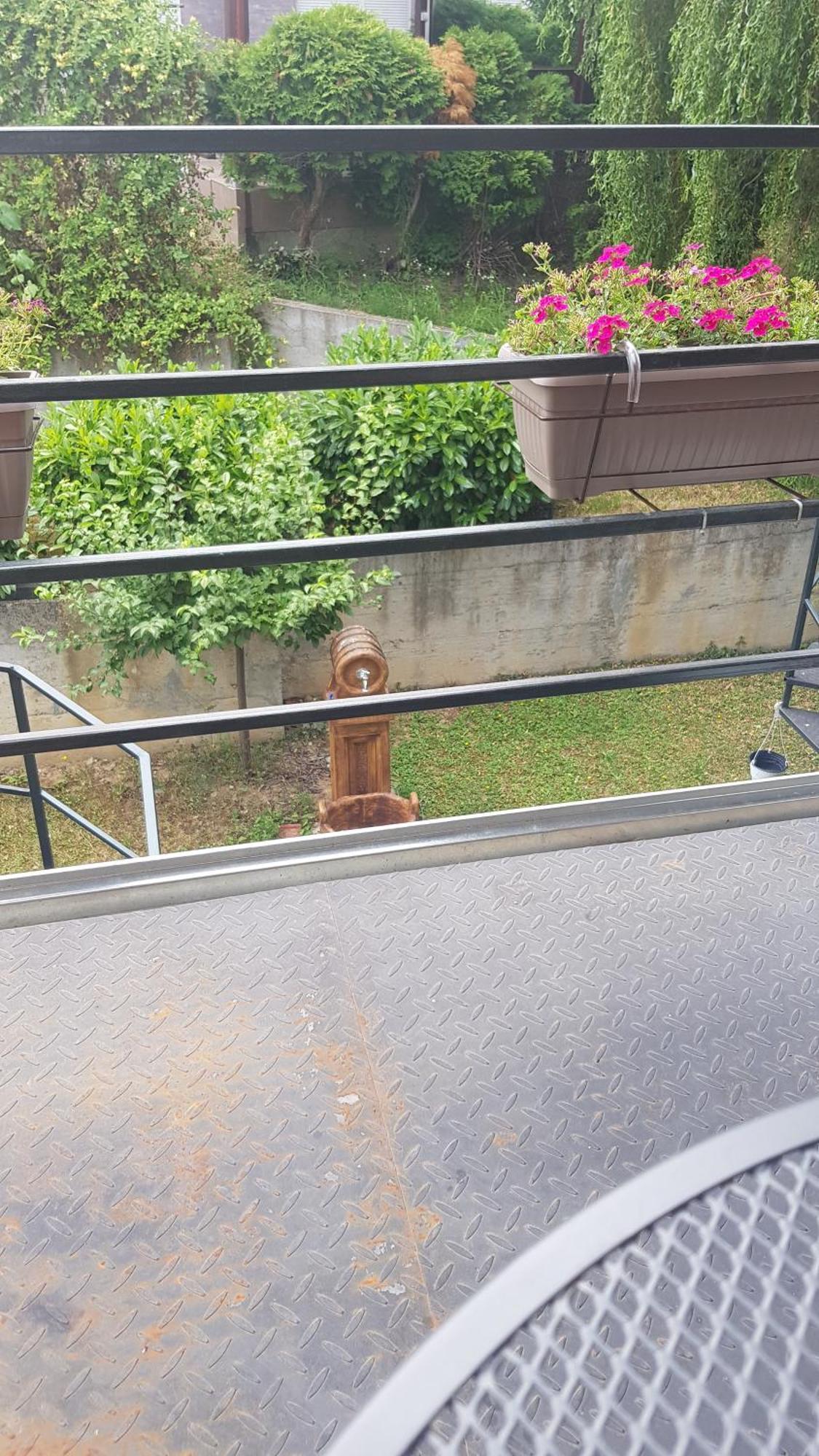 Apartmani V&F Vrnjačka Banja Quarto foto